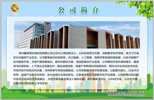 鑫峰茂 以技術(shù)服務(wù)為舟，奮力突破千層浪，勇者踏平萬(wàn)重山